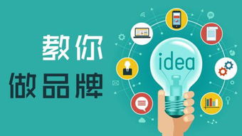 移動互聯(lián)網(wǎng)時代的品牌傳播與研發(fā)維護策略